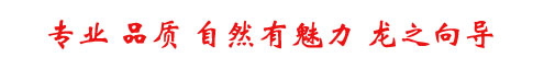 龙之向导